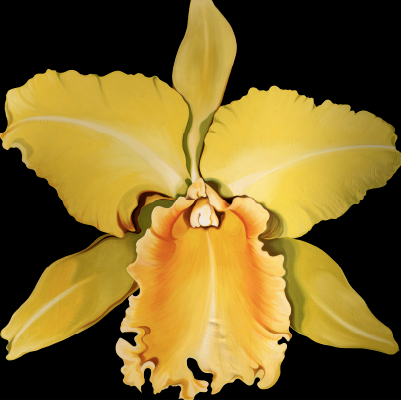 Yellow Lotus painting by Lowell Nesbitt